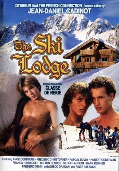 Ski Fever poster