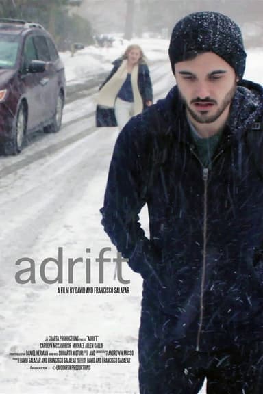 Adrift poster