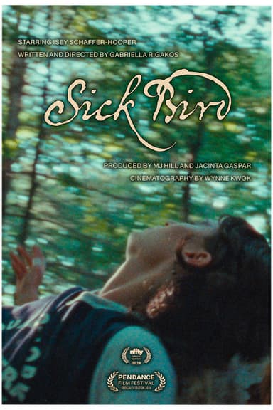 Sick Bird poster