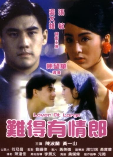 Lover at Large poster