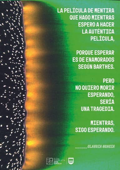 LA PELÍCULA DE MENTIRA poster