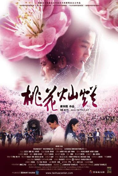 Peach Blossoming poster