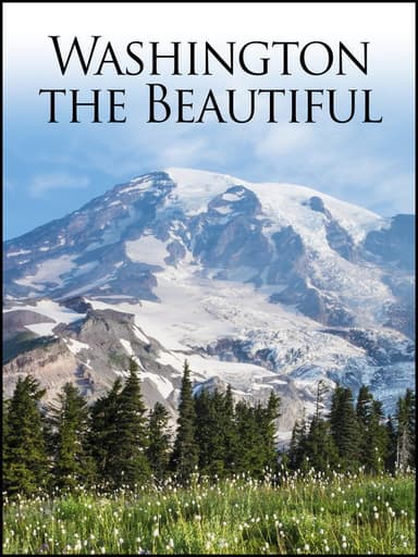 Washington the Beautiful poster