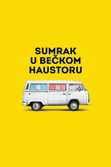 Vienna Hallways poster