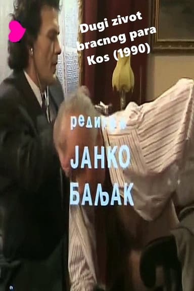 The Long Life of the Kos's, a Married Couple poster