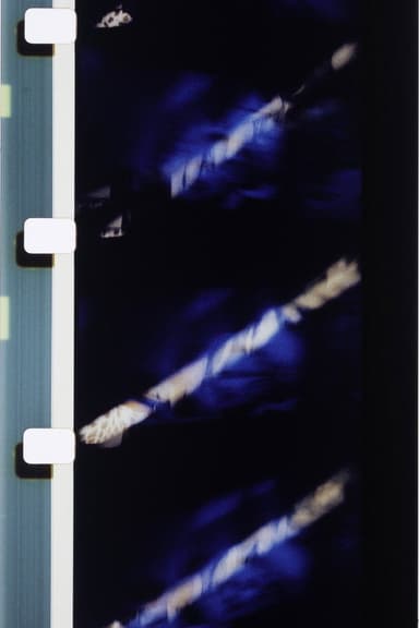 Couleurs délicieuses sur fond bleu poster