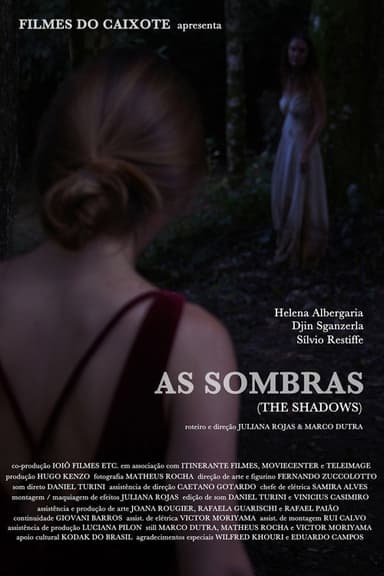 The Shadows poster