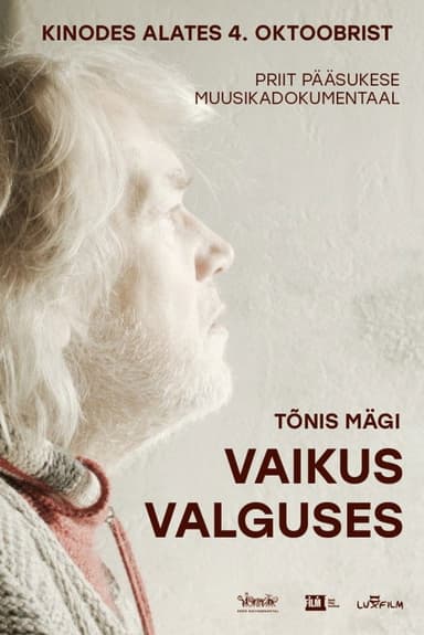 Tõnis Mägi: Silence in the Light poster