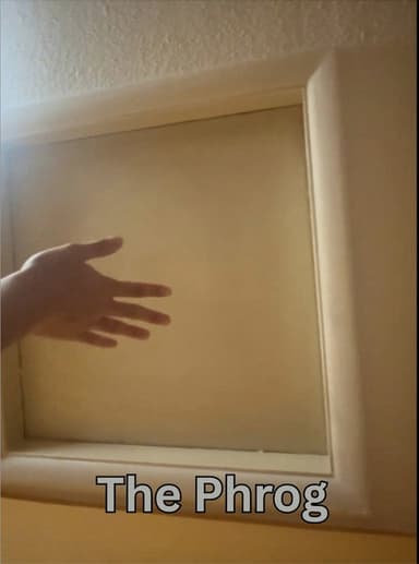 The Phrog poster