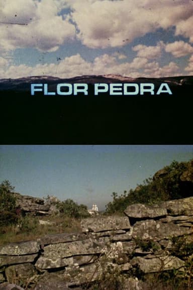 Flor Pedra poster