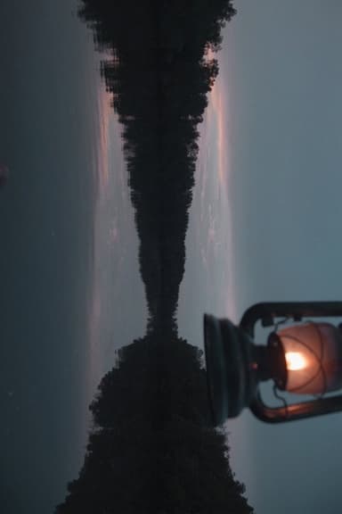 Firefly poster
