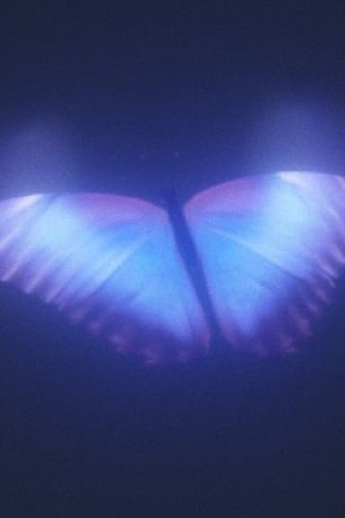 Futura's Odyssey poster