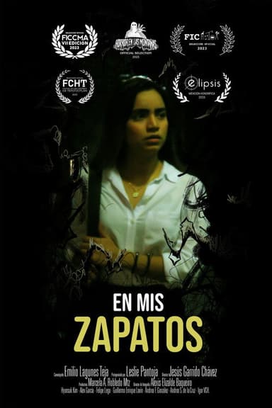 En mis zapatos poster