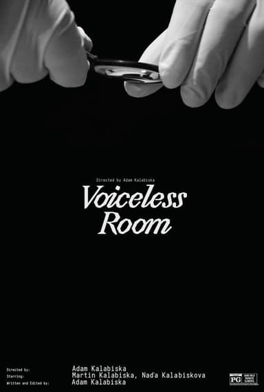 Voiceless Room poster