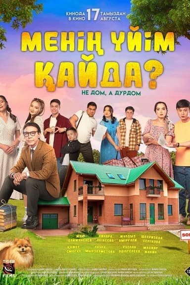 Where Is My Home? poster