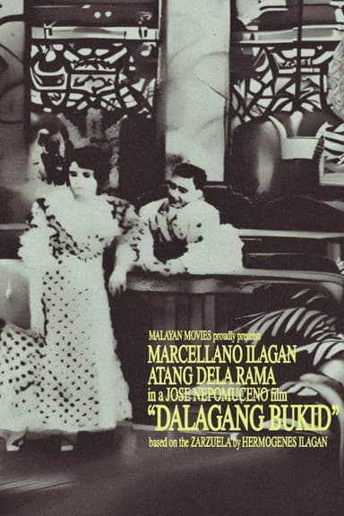 Country Maiden poster