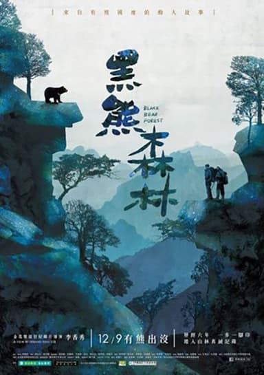 Black Bear Forest poster