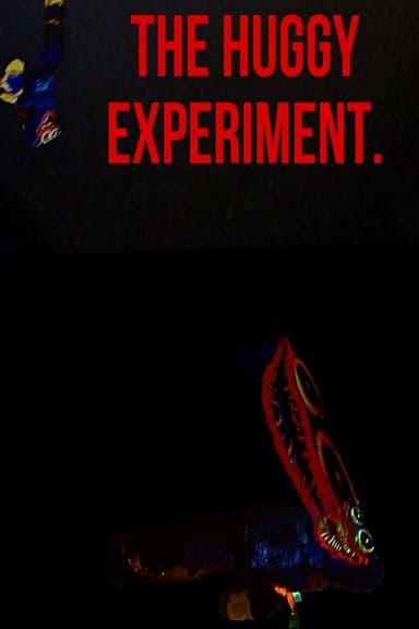 The huggy experiment. poster