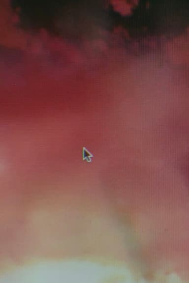 Late Embryo poster