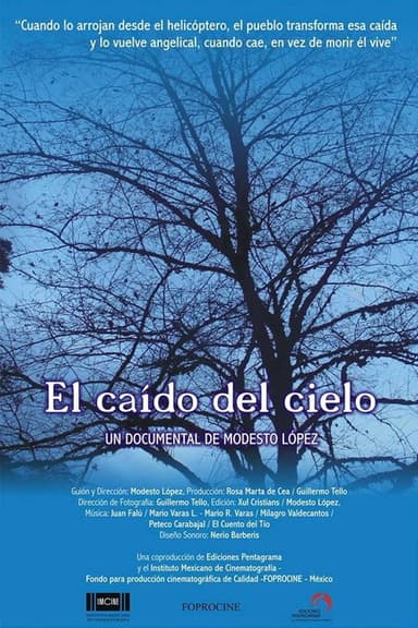 The One Fallen from the Sky poster