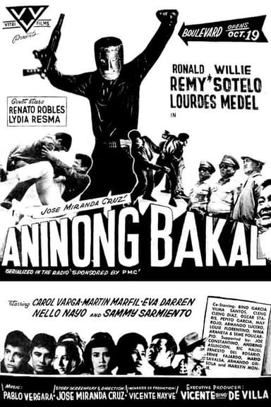 Aninong Bakal poster
