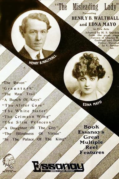 The Misleading Lady poster