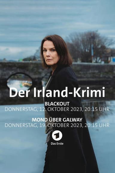 Irish Crime: Moon Over Galway poster