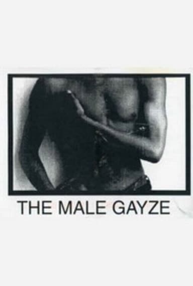 The Male GaYze poster