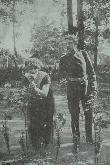 In The Nets of German Espionage poster