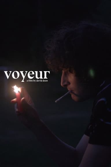 Voyeur poster