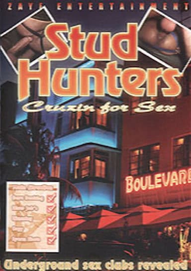 Stud Hunters: Cruisin' for Sex poster