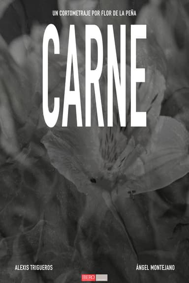 CARNE poster