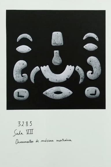 Luminous Shadow poster