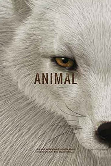 Animal poster