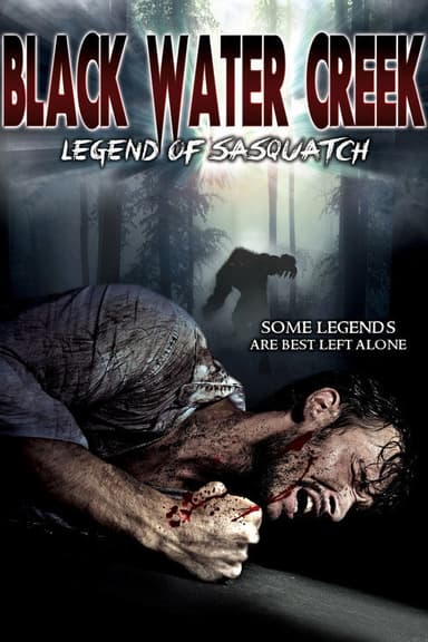 Black Water Creek poster