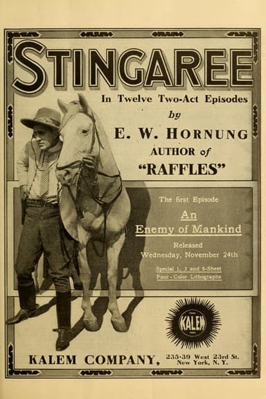 Stingaree poster