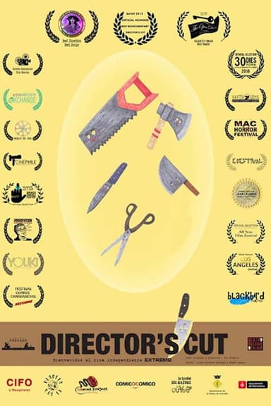 Director's Cut poster