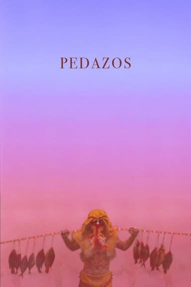 Pedazos poster