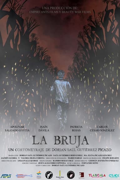 The Witch poster