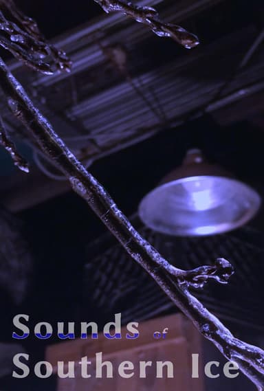 Sounds Of Southern Ice poster