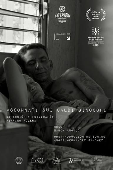 Sleeping on Warm Knees poster