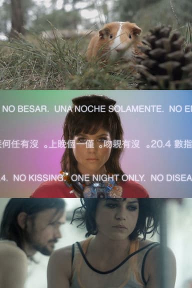 Animal Love poster