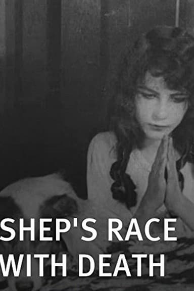 Shep's Race with Death poster