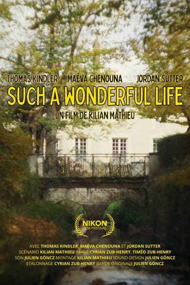 Such a WonderFul Life poster