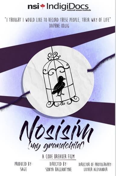 Nosisim poster