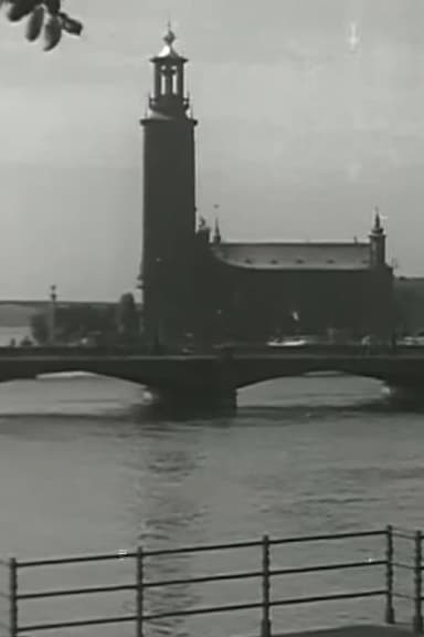 Venice of the North poster