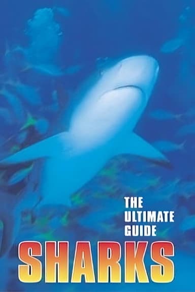The Ultimate Guide: Sharks poster