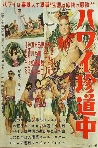 Road to Hawaii poster