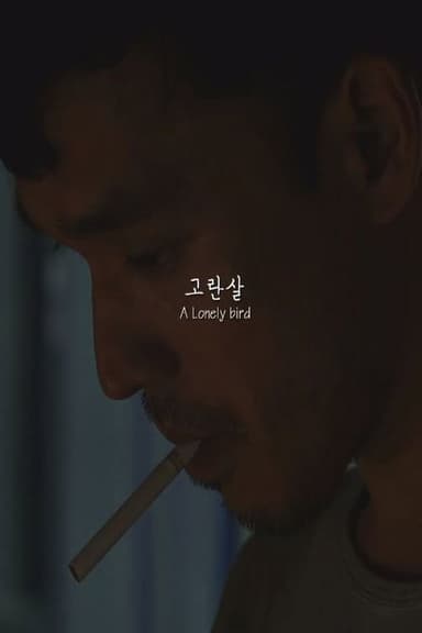 A Lonely bird poster