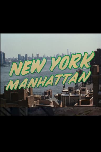 New York Manhattan poster